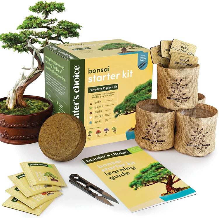 Bonsai Growing Kit
