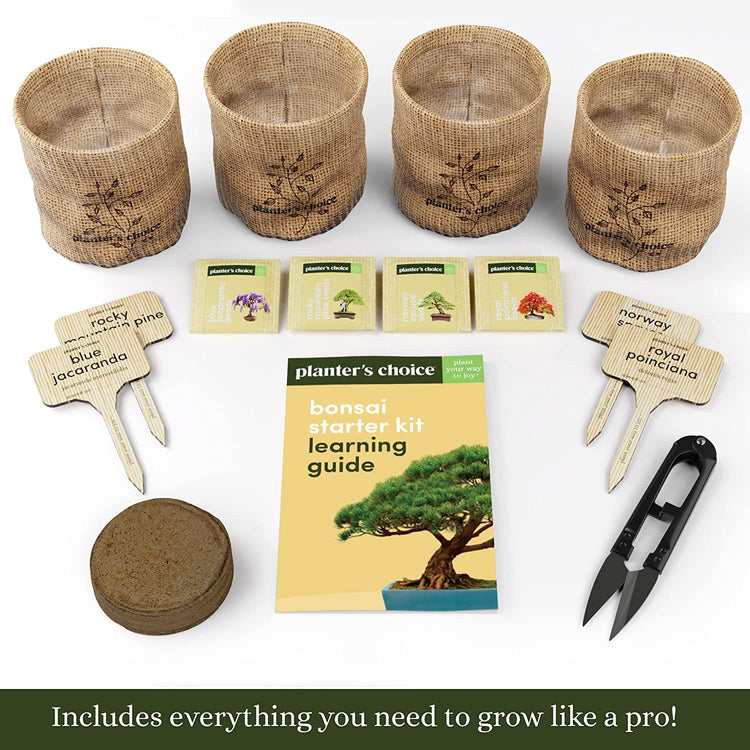 Bonsai Growing Kit