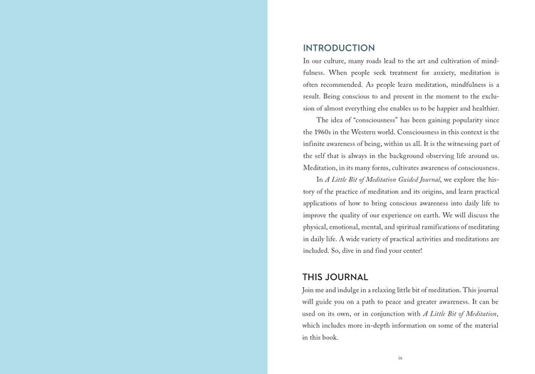 Little Bit of Meditation Guided Journal