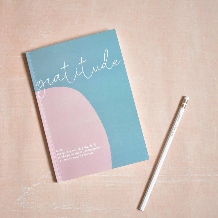 Gratitude Journal - 100 days of gratitude guided journal